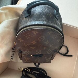 Louis Vuitton Palm Springs Mini